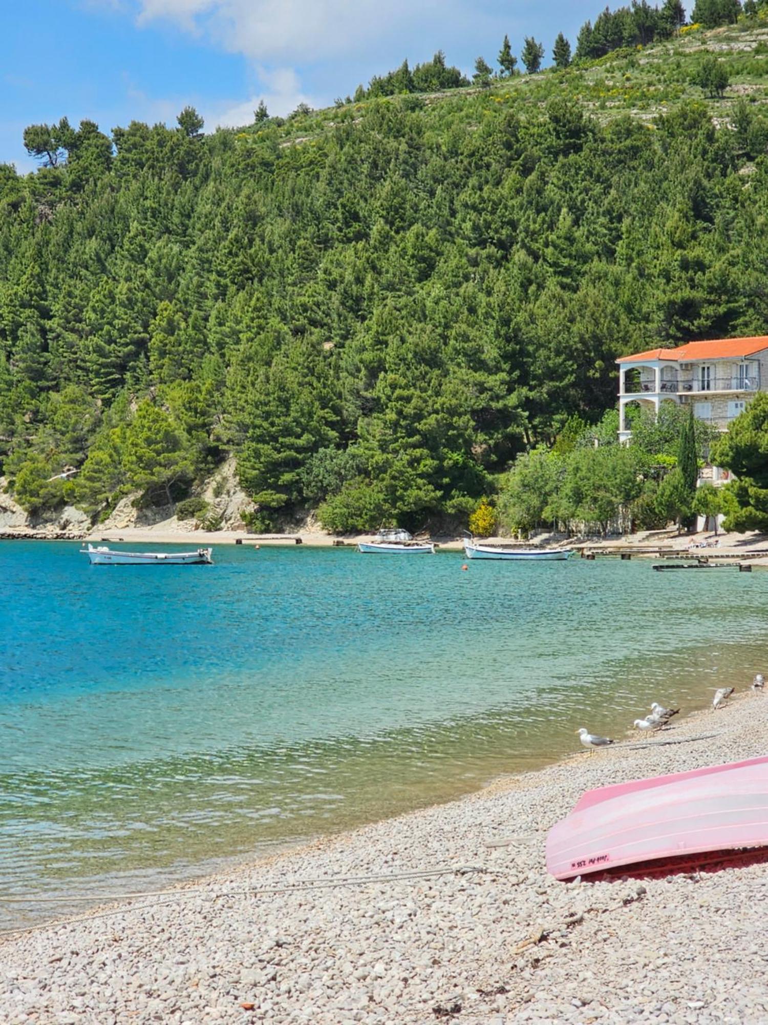Villa Roing S Stanici Экстерьер фото