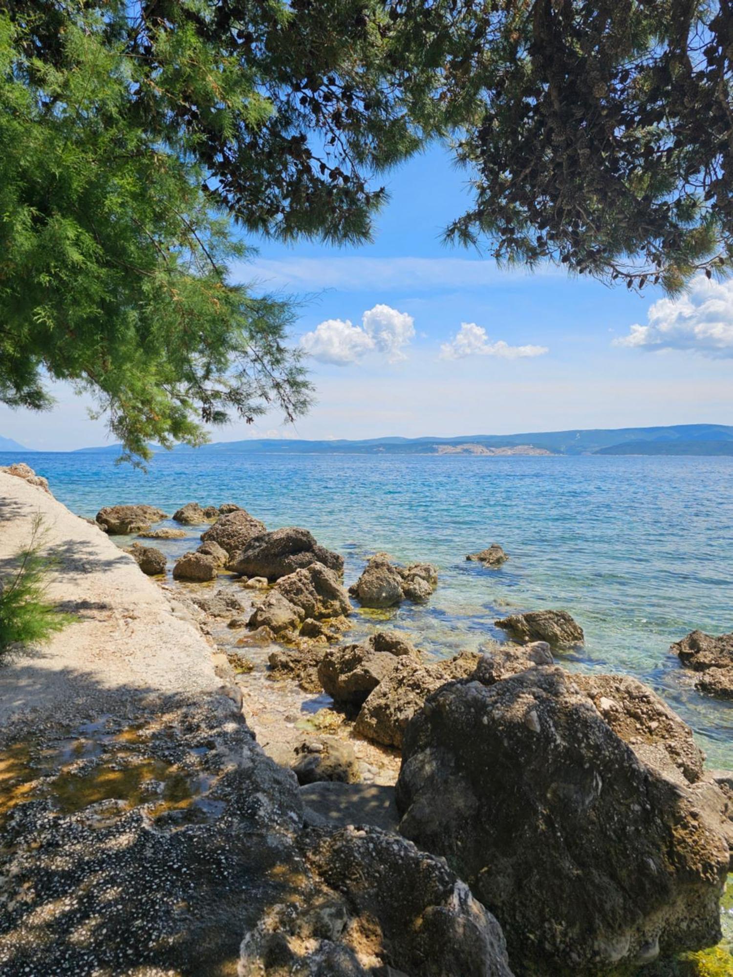 Villa Roing S Stanici Экстерьер фото